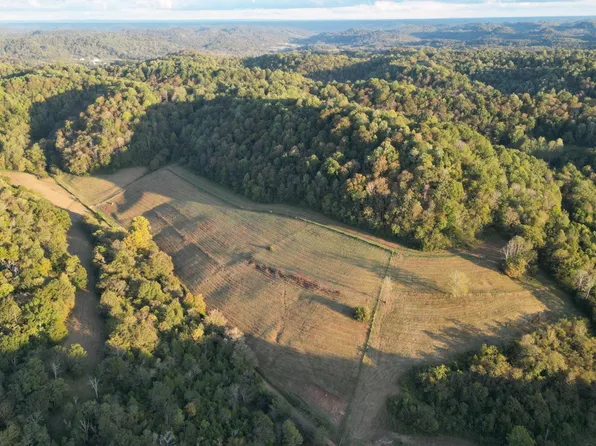 46 Carver Hollow Ln, Pleasant Shade, TN 37145