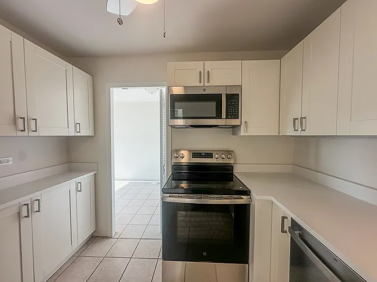 1255 N Sandburg Ter #2403 — Photo 5