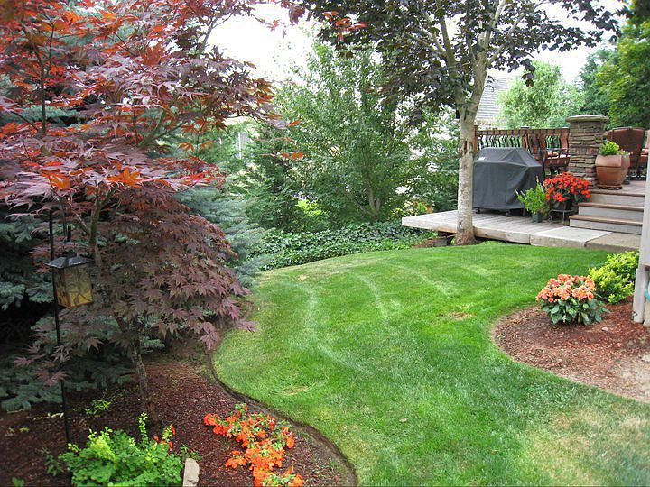 Back yard with custom cedar deck