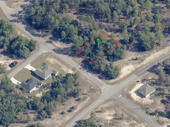 11527 N Condor Dr, Citrus Springs, FL 34433