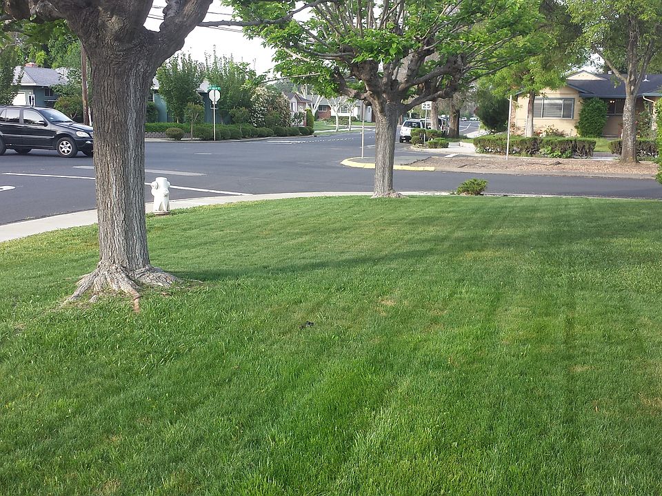 2nd image of 2805 Ryan Rd