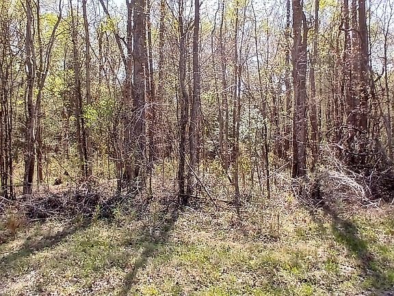 4th image of D07-3 Wood Landing Road