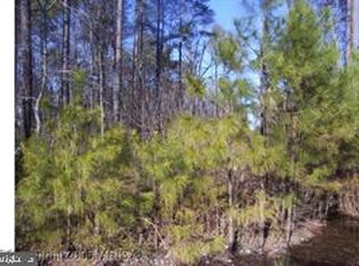 8 14th St, Colonial Beach, VA, 22443