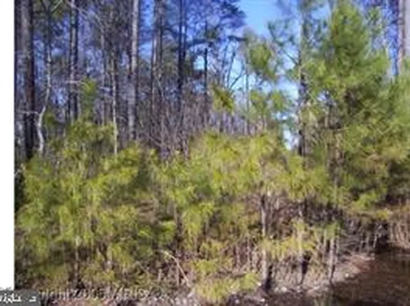 8 14th St, Colonial Beach, VA 22443