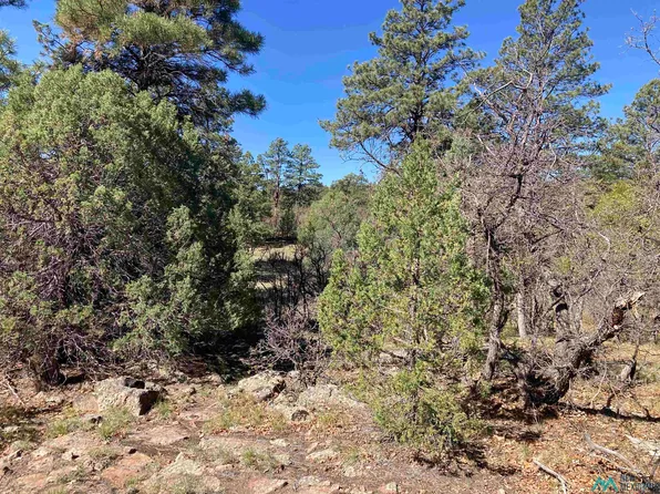 Rim Lots 72 & 73 Dr, Los Ojos, NM 87551