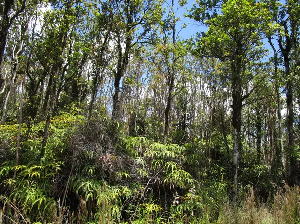 Kopaa St Lot 42, Mountain View, HI 96771