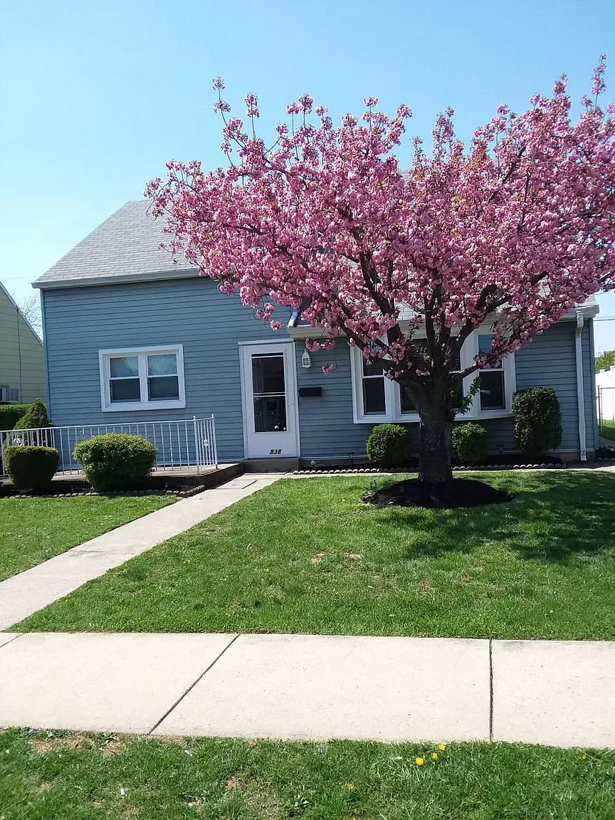 838 Hartman Ave photo 1