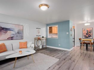 The Viking Condos, Denver, CO 80206