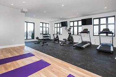 Rented by Bold New York