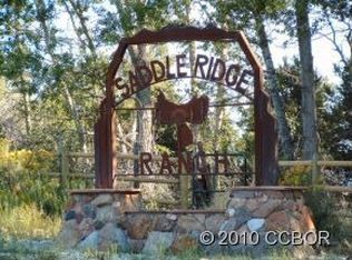 11655 Saddle Ridge Ct, Salida, CO 81201