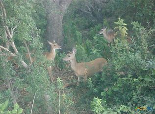 225 Fennec Fox, Cibolo, TX 78108