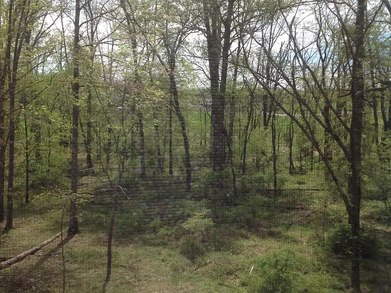 204 Upper Brook Ter — Photo 3