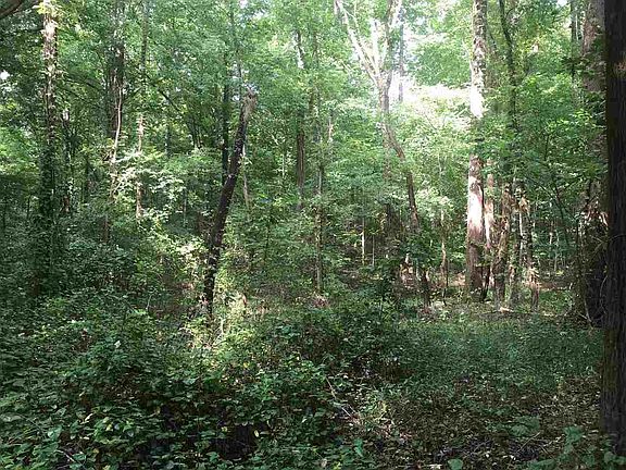 4th image of 22 Asbury Dr Lot 22