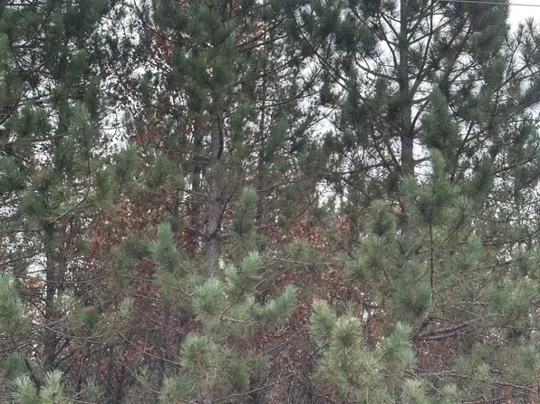 Y Y On Cth, Tomahawk, WI 54487