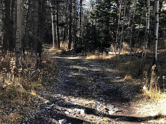 5th image of Castle Peak Dr