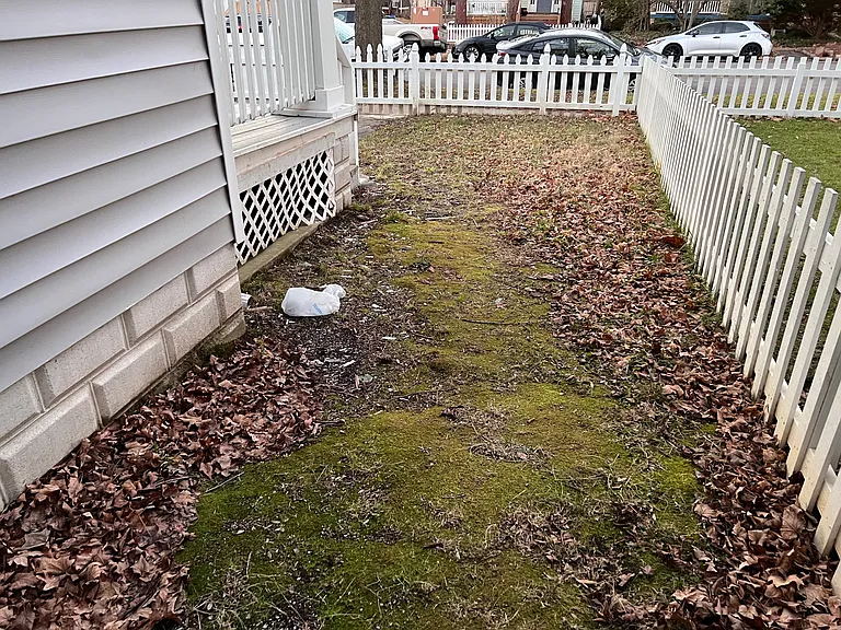 3601 Carolina Ave — Photo 14