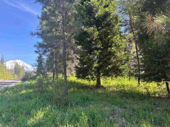 LOT 50 Old Mill Rd, McCloud, CA 96057