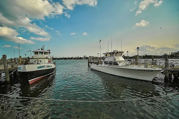 Sold by Voro Purple LLC | media 21