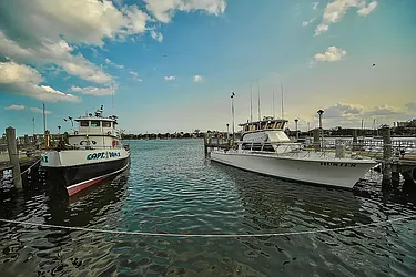 Sold by Voro Purple LLC