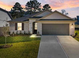 19737 Flag View Dr, Montgomery, TX 77316