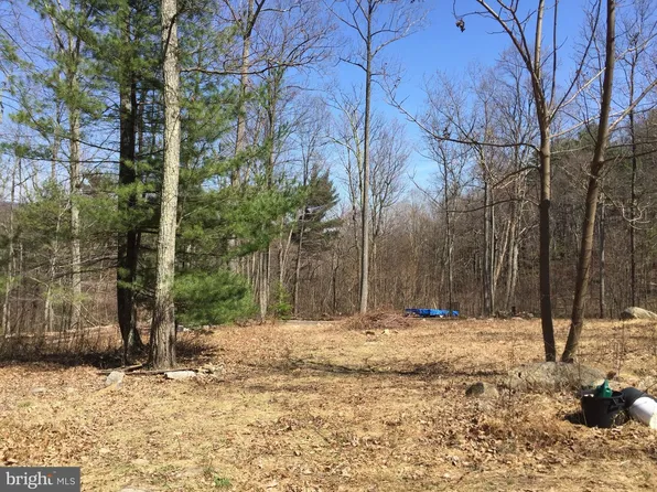 0 Padua Ln, Sperryville, VA 22740