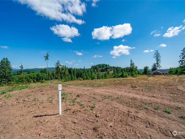 0 S Silver Lake Lot 5 Road, Castle Rock, WA 98611