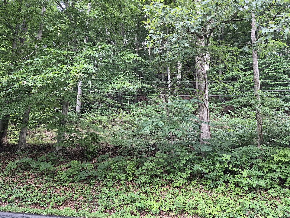 1st image of Tbd Blue Ridge Rd