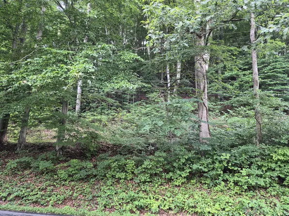 Tbd Blue Ridge Rd, Glasgow, VA 24555
