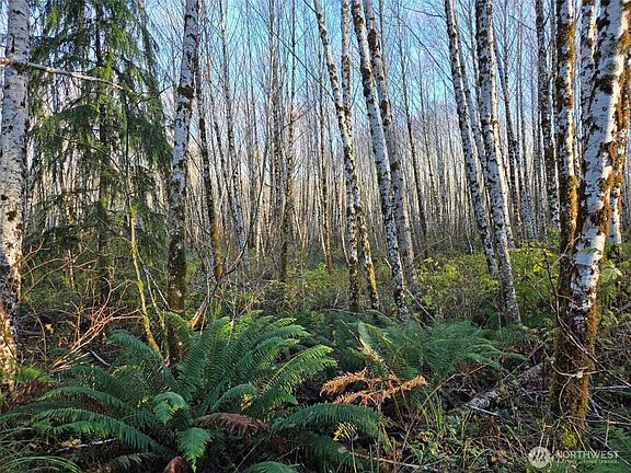 3rd image of 0 MP 15.8 North River Road