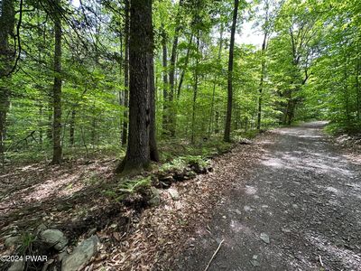 Minkler Mountain Rd, Equinunk, PA, 18417