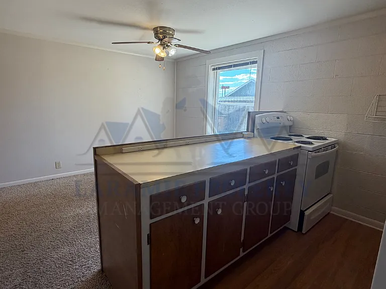 529 Spring Creek Dr #4 — Photo 7