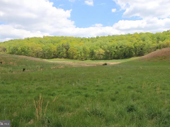 Gooney Manor Loop, Bentonville, VA 22610