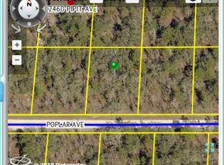 12469 Poplar Ave, Weeki wachee, FL 34614