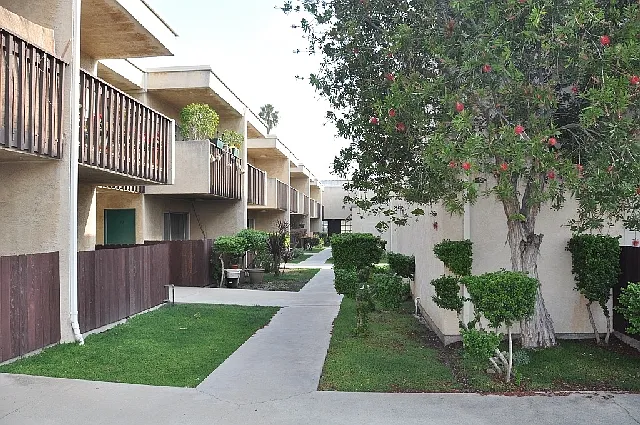 La Corona South Bay — Photo 13