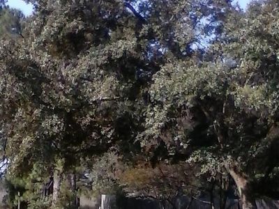 2971 N 14th Ave, Milton, FL, 32583