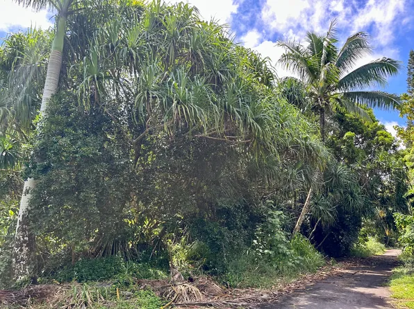 Papaya Farms Rd Lot 9, Pahoa, HI 96778