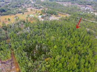 1187 Still Rd, Pierson, FL 32180