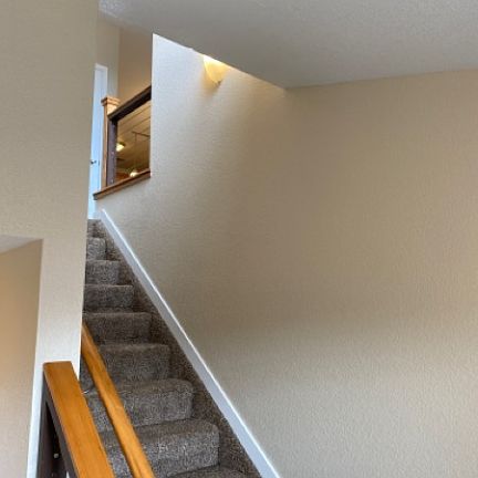 download (3)_11172020