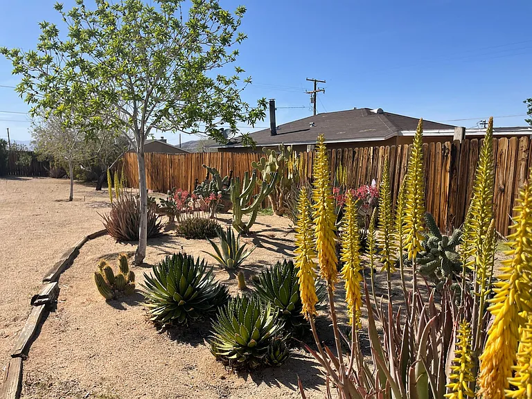 6564 Pine Springs Ave — Photo 33