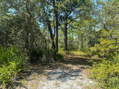 LOT 204 Fernway Dr #1, Panacea, FL, 32346