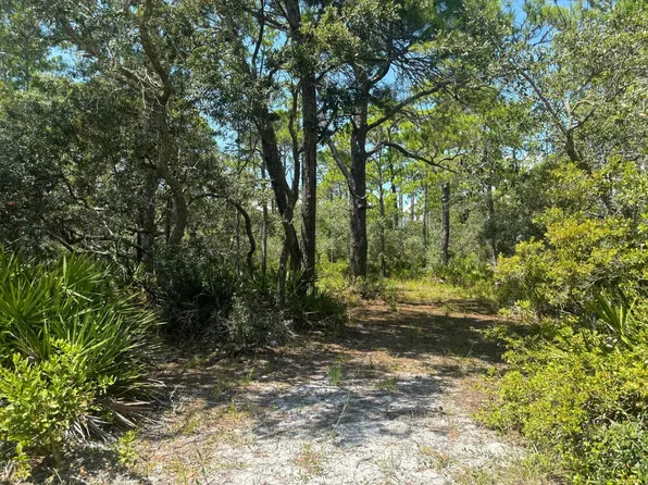 LOT 204 Fernway Dr #1, Panacea, FL 32346