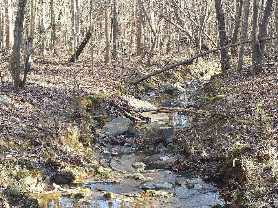 Beautiful Creek