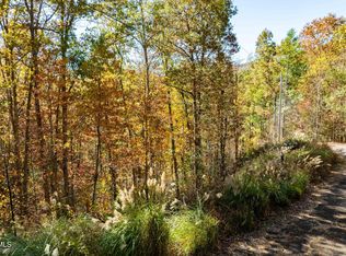 0 Blackberry Hill Ln, Mountain City, TN 37683