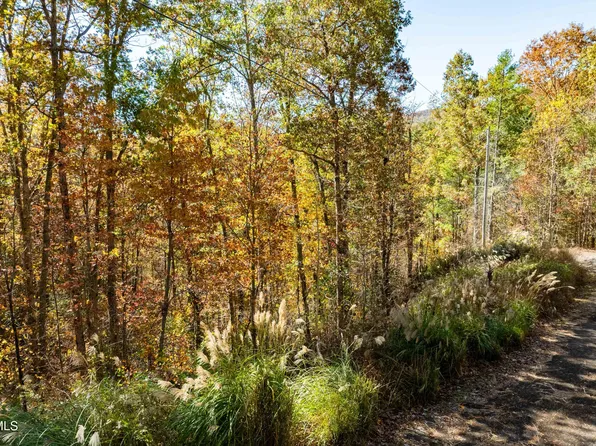 0 Blackberry Hill Ln, Mountain City, TN 37683
