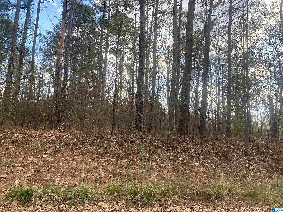 2nd image of LOT 18 Dogwood Cir