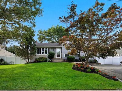 127 Louis Street, Massapequa, NY, 11758