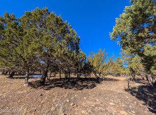 1462 Low Mountain Trl, Heber, AZ 85928