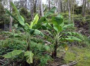 Road 6, Mountain View, HI 96771