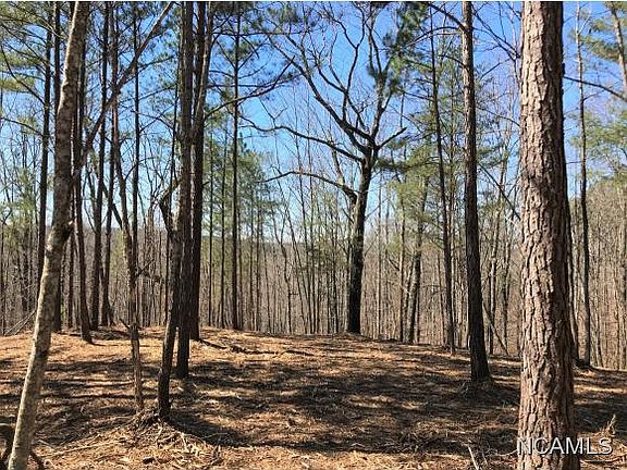 2nd image of 161 County Road 467