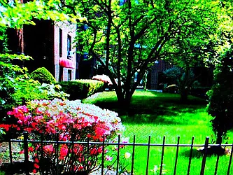 Rented by Eleni Moustakis LREB